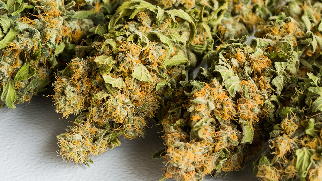 Cannabis lemonade and iced teas: Althea’s Peak teams up with Tweed to bring cannabis-infused products to Canada
