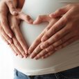 Amid declining population, Memphasys and Vitrolife team up to provide IVF treatments to boost numbers