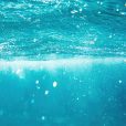 Waterco to acquire Davey Water for $65 million in line with global expansion ambitions