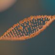 Invion expands light-based cancer therapy to South Korea, the world’s top ten clinical study hub