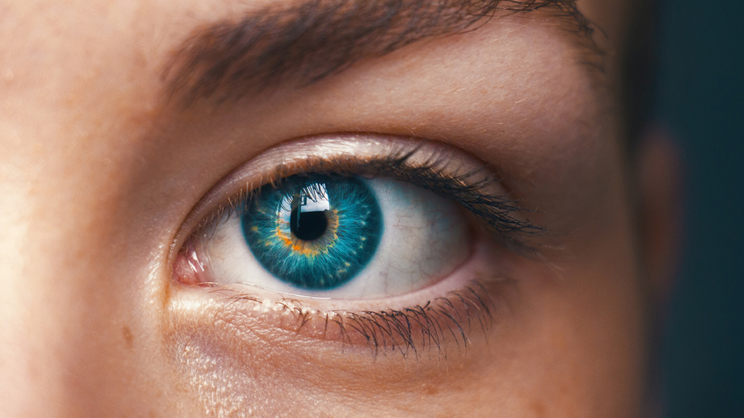 Retinal Eye Scanners: Restoring the lost hope for those who have lost vision