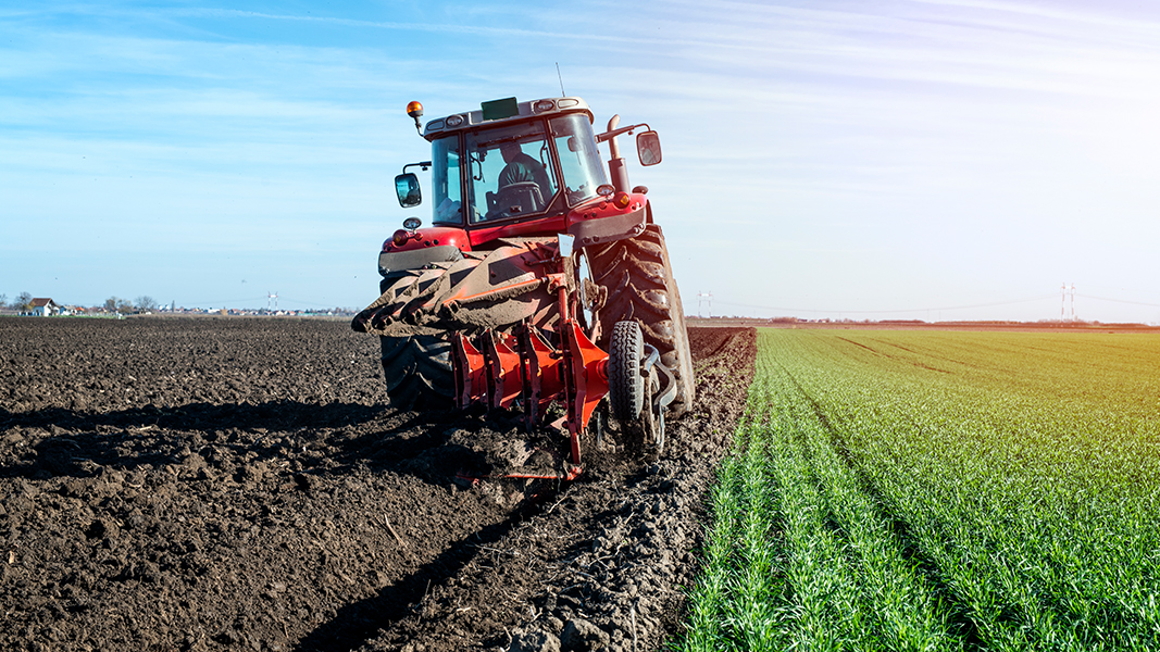 Wide Open Agriculture charts new plan for 2024 following lengthy ASX suspension
