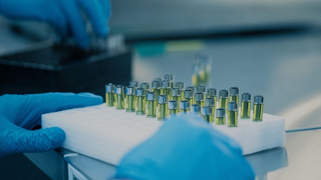 Bioxyne Lifts FY2025 Revenue Forecast as Psychedelics and Pharma Push Gains Pace
